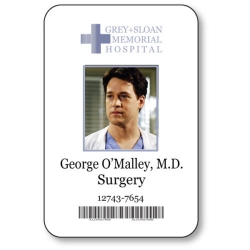 George O'Malley, Grey's Anatomy name badge Halloween costume Accessory